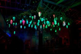 rlon – studio for physical storytelling